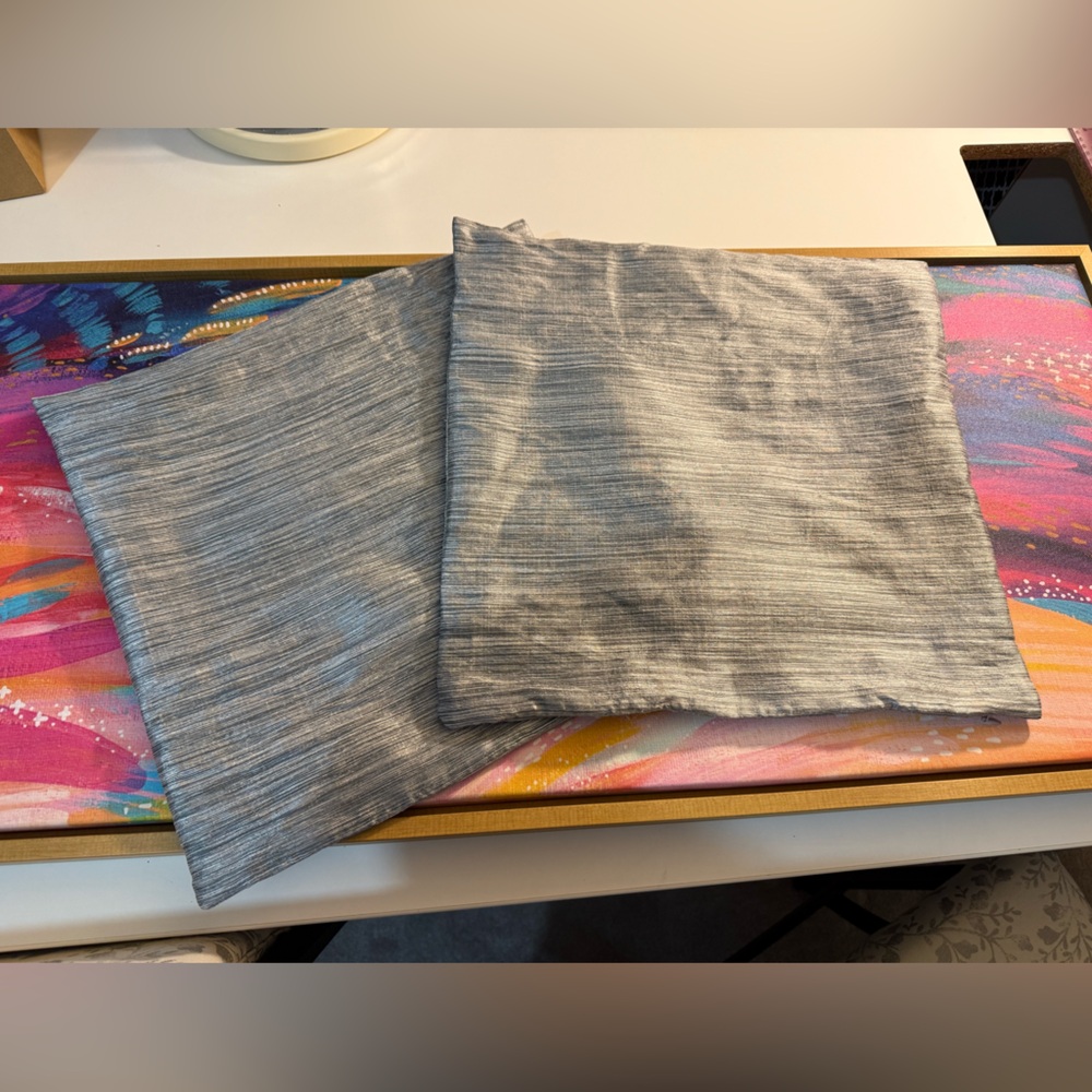 Pillow covers set of 2 silver/grey